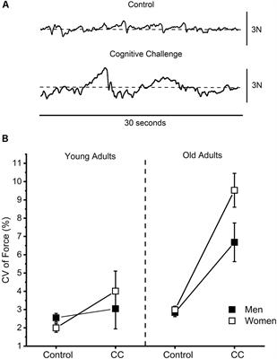 Force Steadiness During a Cognitively Challenging Motor Task Is Predicted by Executive Function in Older Adults